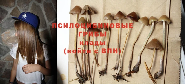 прущая мука Михайловск