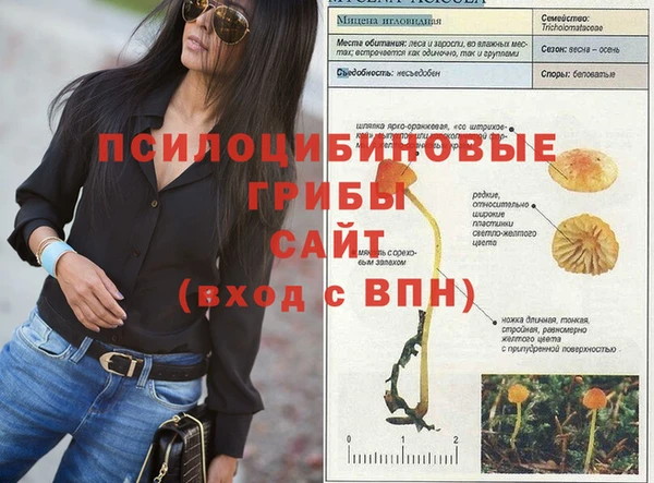 прущая мука Михайловск