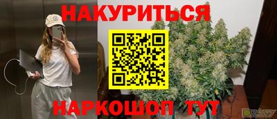 мяу мяу мука Аргун