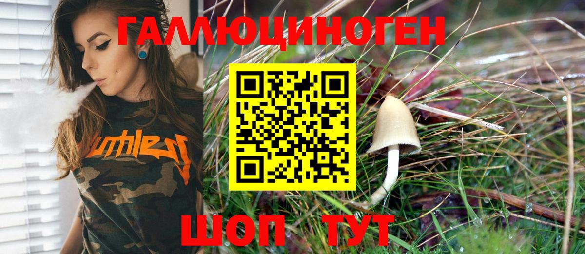 Галлюциногенные грибы мухоморы  Топки 