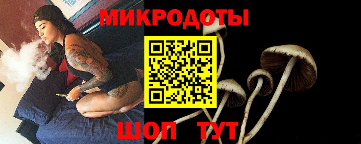 Галлюциногенные грибы Psilocybine cubensis  Псилоцибиновые грибы MAGIC MUSHROOMS  Вход с VPN  Топки 